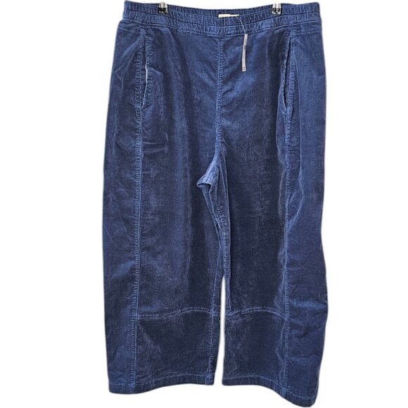Pilcro Blue Corduroy Pants - Picture 1 of 10